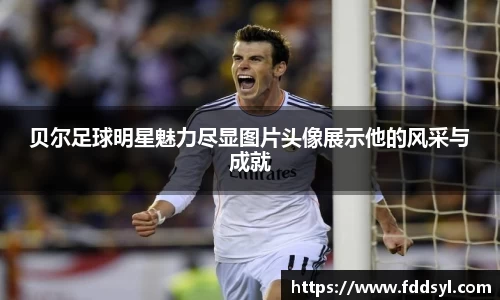 贝尔足球明星魅力尽显图片头像展示他的风采与成就